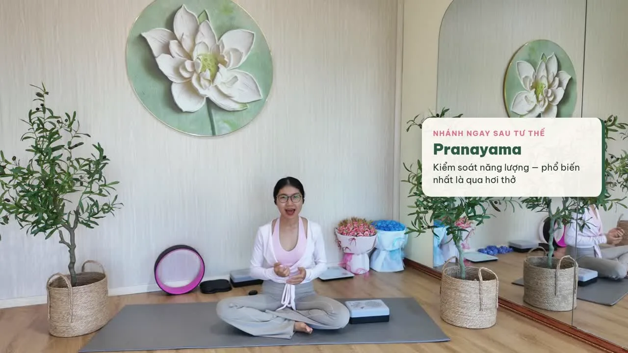 Tâm An giải thích về pranayama